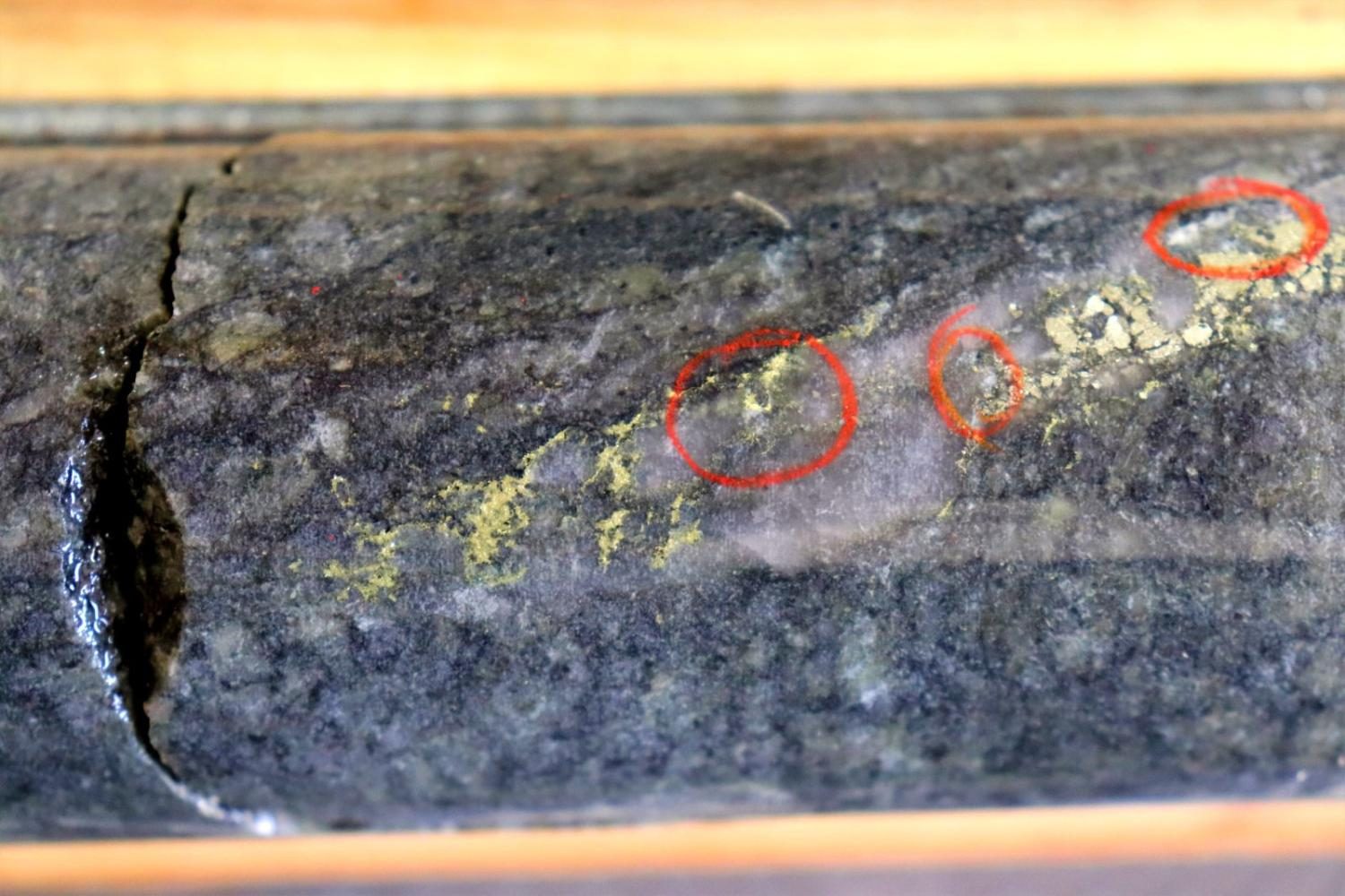 Drill core with circled visible gold